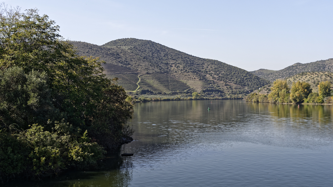 20141022 132855•Ligares•North•Portugal